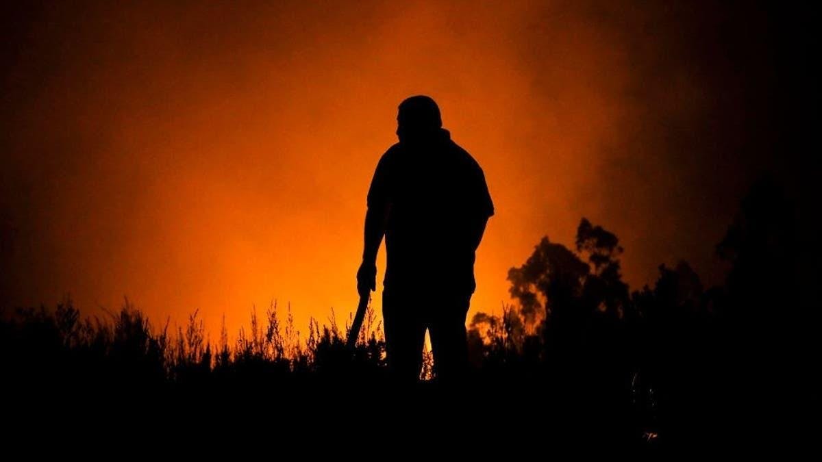 Experto en ecología y conservación de bosques, Álvaro Promis, se refiere a la incidencia de los monocultivos en la propagación de los incendios forestales