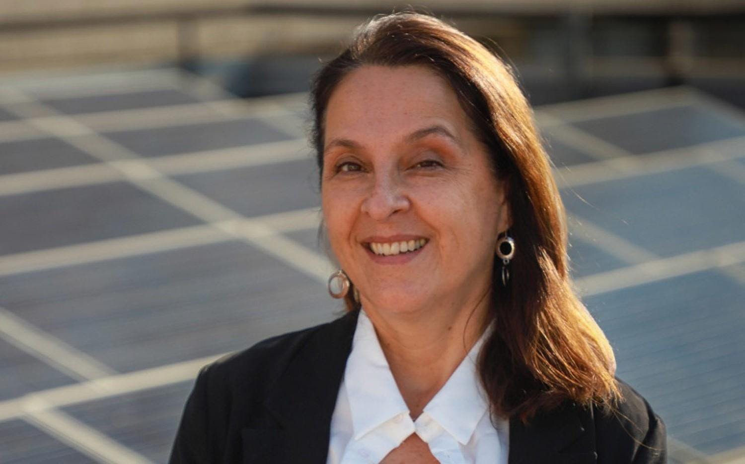 Superintendenta del Medio Ambiente por cargos contra Enap y AES Andes: “Ambas empresas pueden ser objeto de sanciones, que no solo es la multa