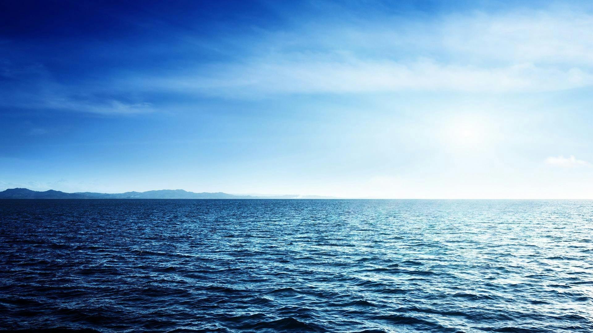 Oceana Chile: “Solo el 1% de la costa de Chile está protegida”