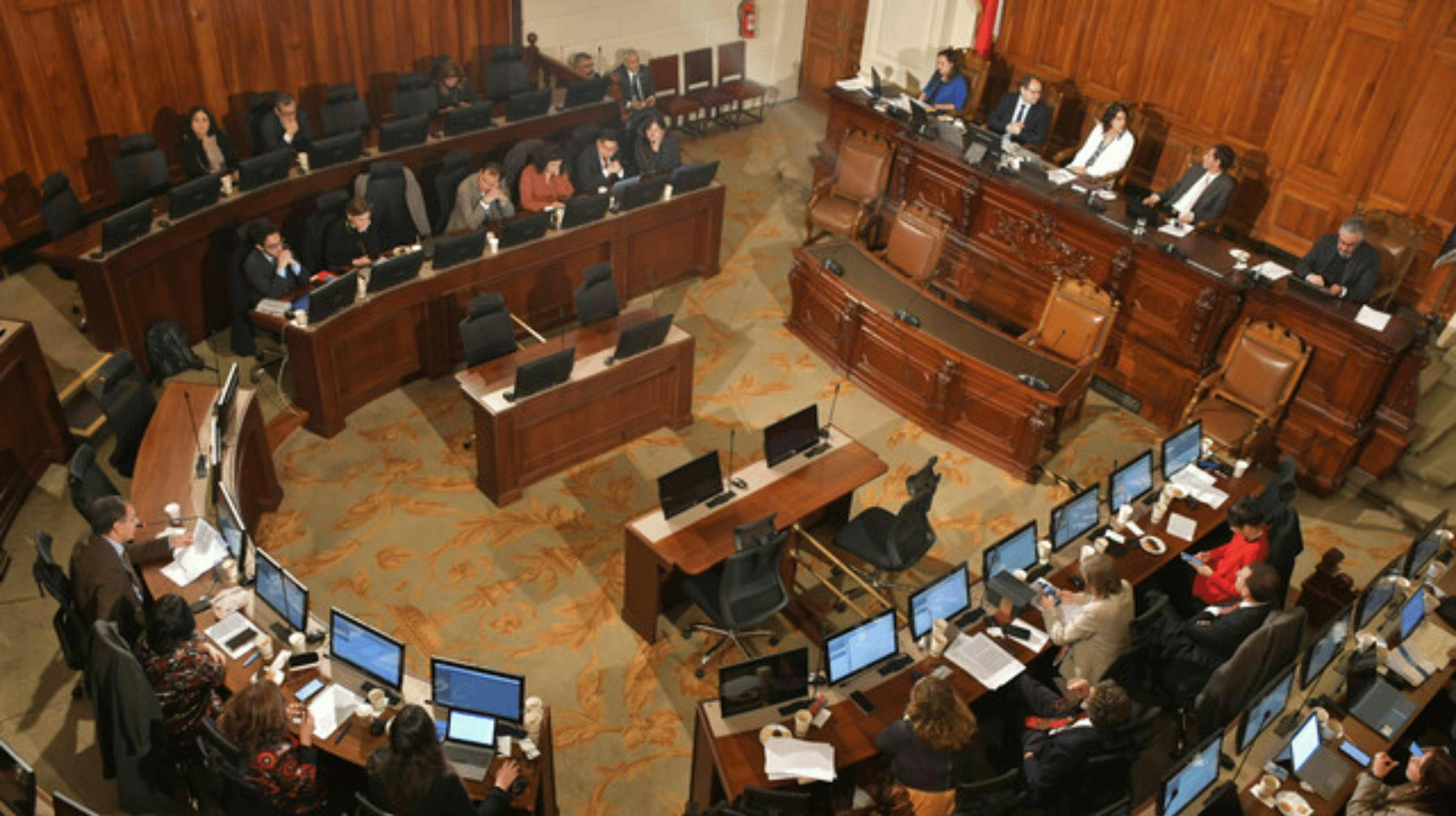 Helfmann y Viera Gallo por el funcionamiento del Consejo Constitucional