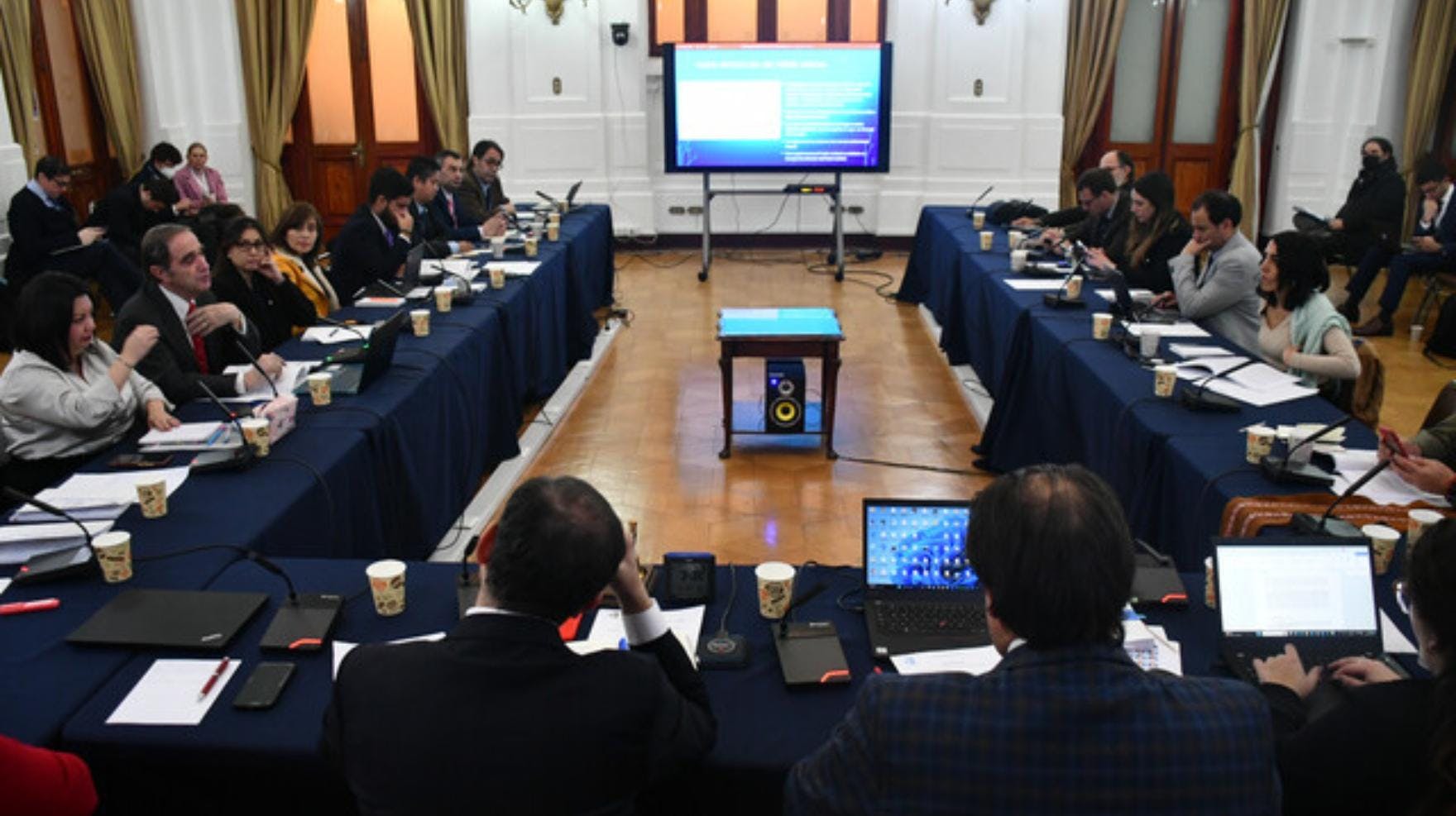 Viera Gallo y Helfmann por las comisiones del Consejo Constitucional y el capítulo de las Fuerzas Armadas