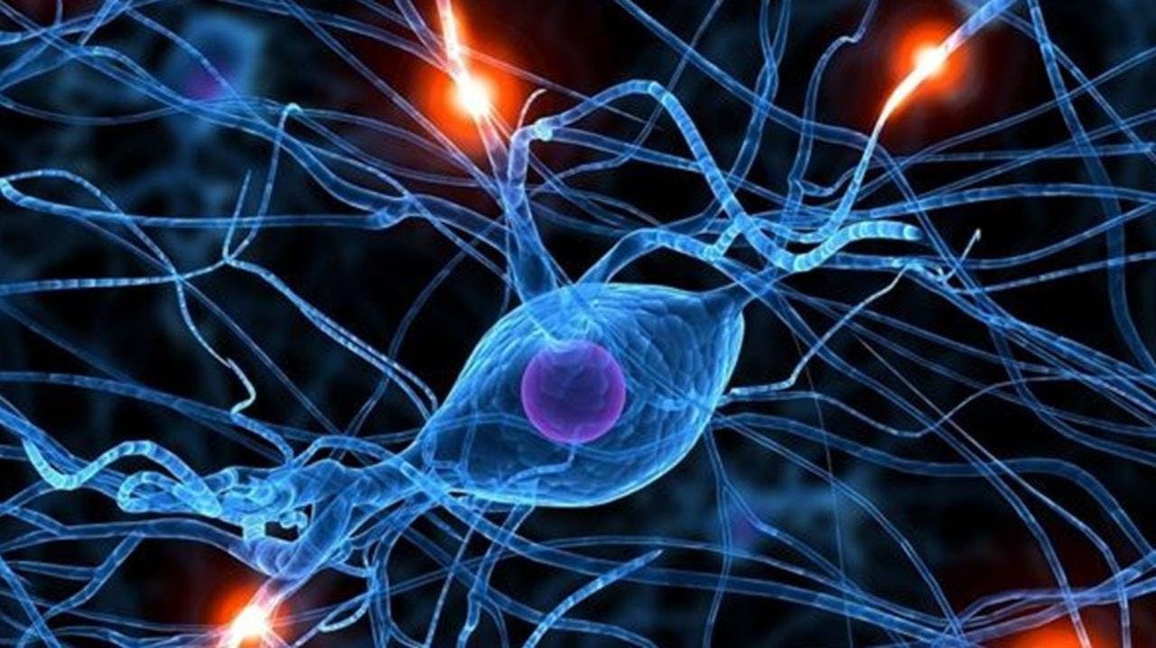 Neurólogo U. de Chile por Síndrome de Guillain-Barré en Perú: “Ocurre por anticuerpos que en vez de atacar a un agente viral externo, terminan atacando a la estructura nerviosa del cuerpo”