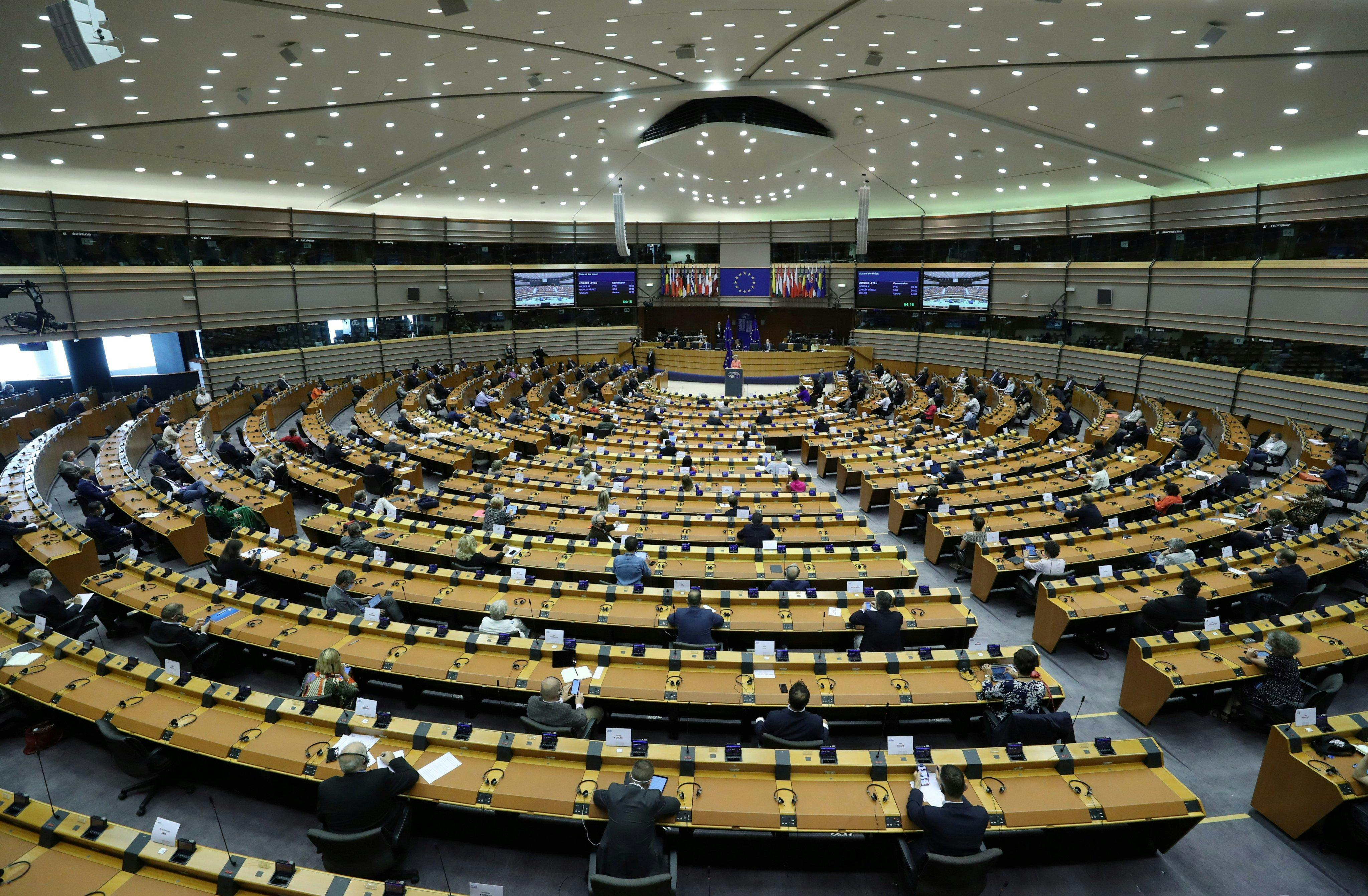 Raúl Cordero por la Ley de Restauración de la Naturaleza aprobada por el Parlamento Europeo