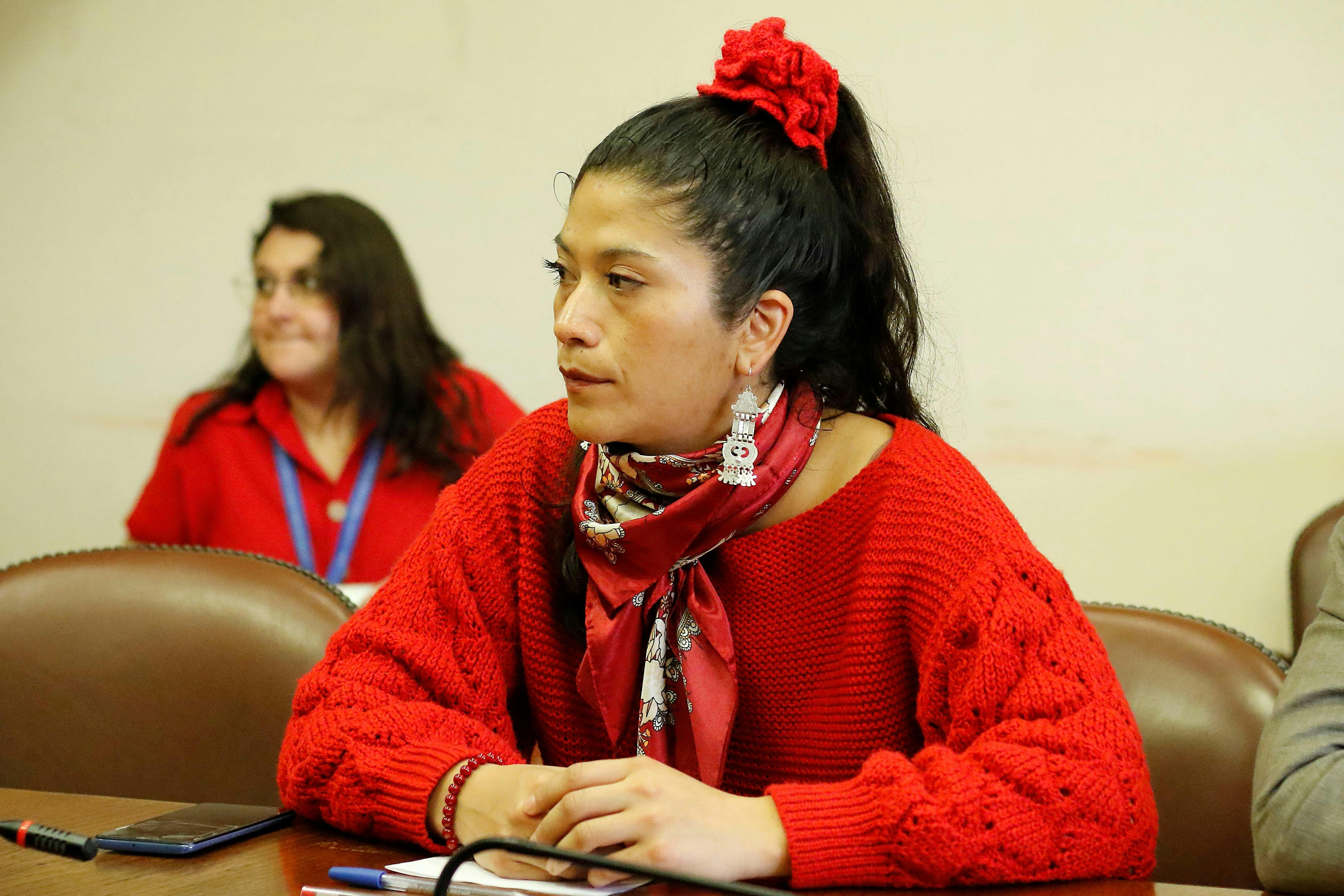 Diputada Ericka Ñanco (RD): “La definición de tener un partido único no es algo que haya surgido a raíz del Caso Convenios”