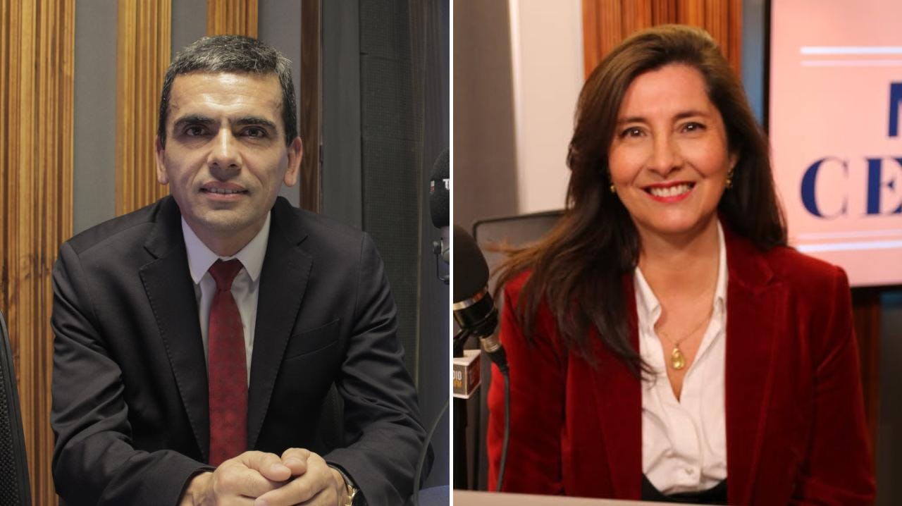 Gajardo y Moore por las implicancias de la Ley de Delitos Económicos y la baja tasa de natalidad en Chile