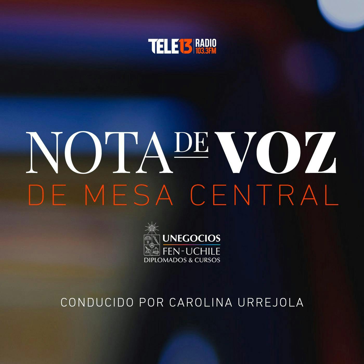 Viernes 15 de septiembre: El Consejo Constitucional inicia votaciones en el pleno con el primer capítulo que incluye el Estado social