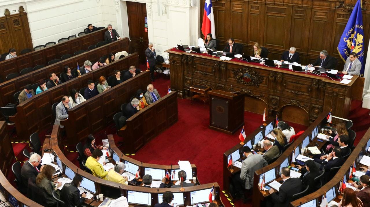Bertelsen y Viera Gallo por las normas relativas a las Fuerzas Armadas y las sanciones a parlamentarios