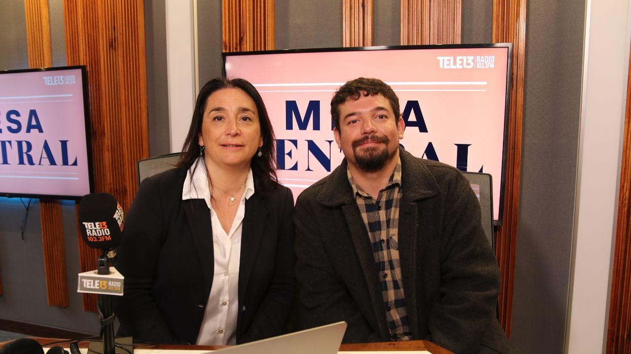 Naudon y Álvarez por el aumento de los indecisos en el inicio de la campaña del plebiscito del 17 de diciembre