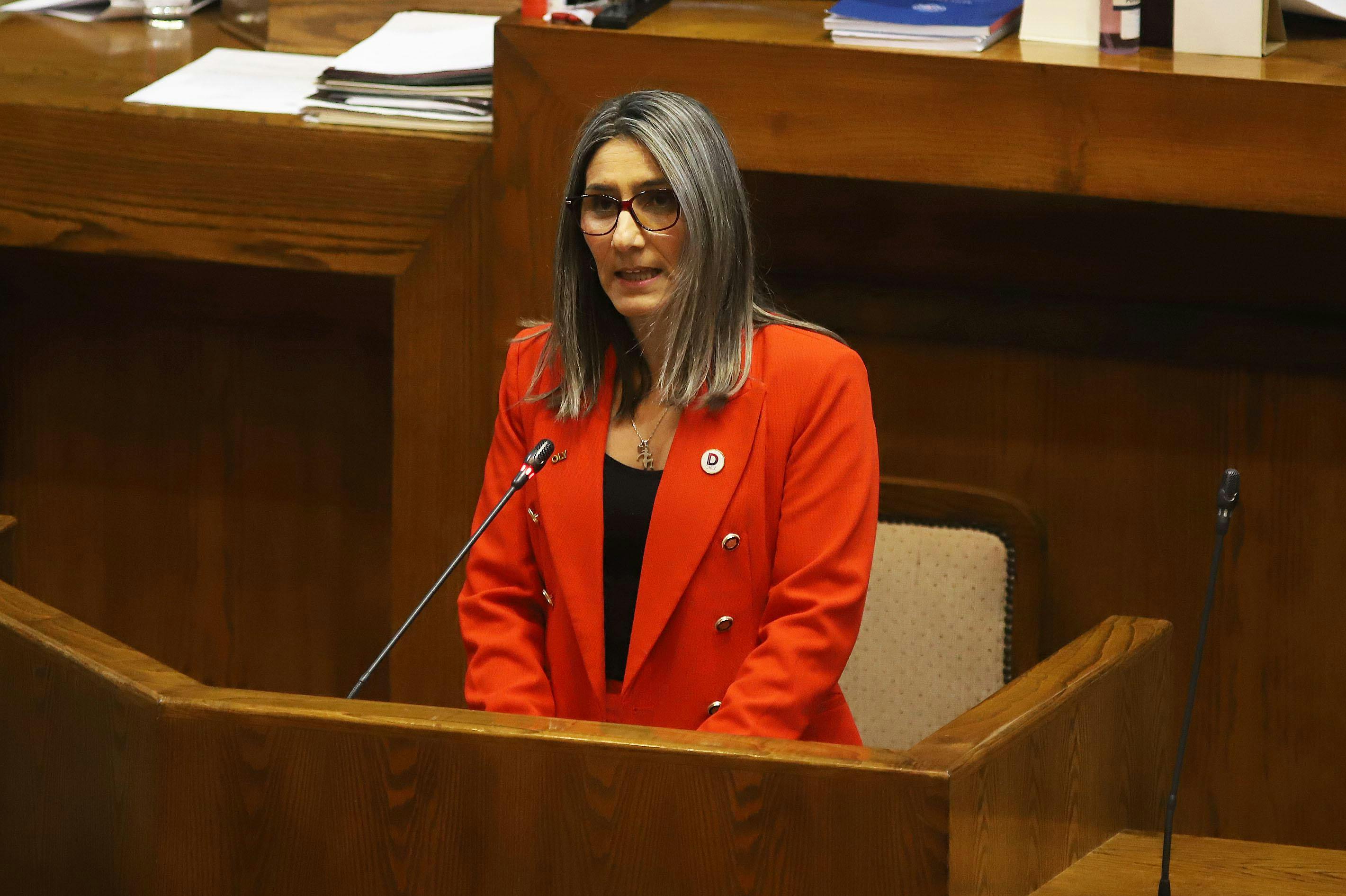 Diputada Olivera por Ley Karin: Podemos considerar al sector público dentro del proyecto, también a los municipios. Es un proyecto que quedó bastante amplio