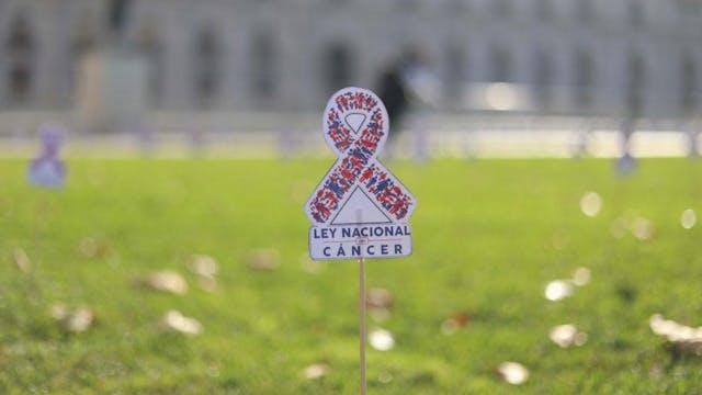 Alejandra Méndez sobre ley de olvido oncológico: "Cualquier persona que se haya sentido discriminada por haber tenido cáncer, podría hacer una denuncia que tendrá sanción"