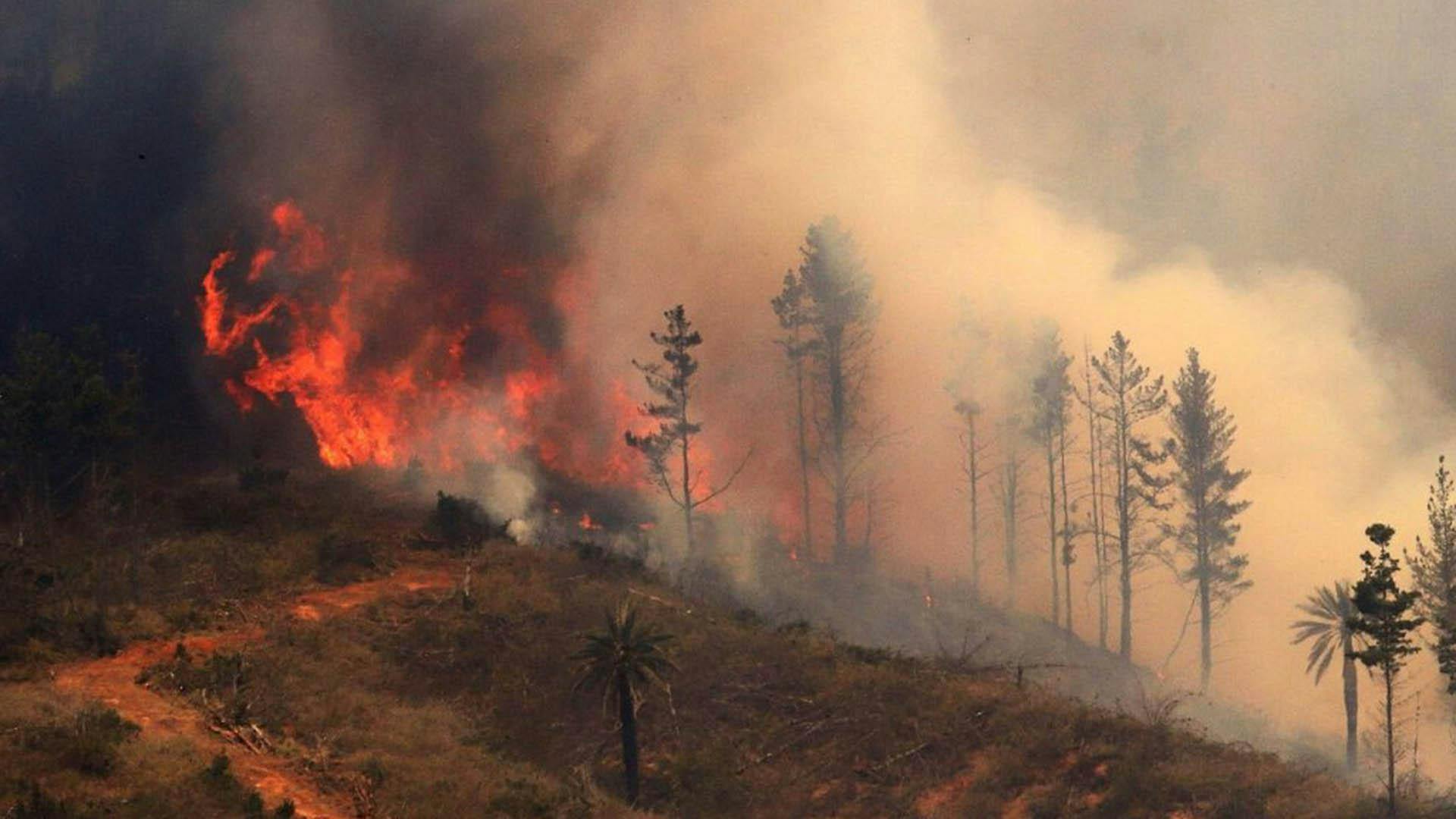 Conaf: Estamos con mil incendios menos que el año pasado a la fecha