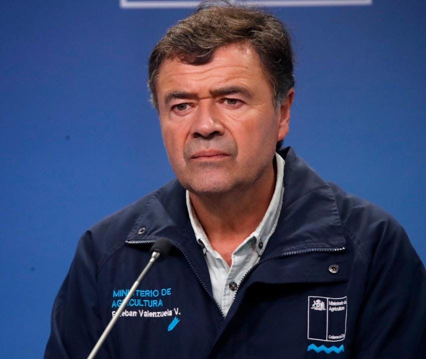 Ministro de Agricultura defiende a cuestionado director de Conaf: “Es realmente falaz esa denuncia”