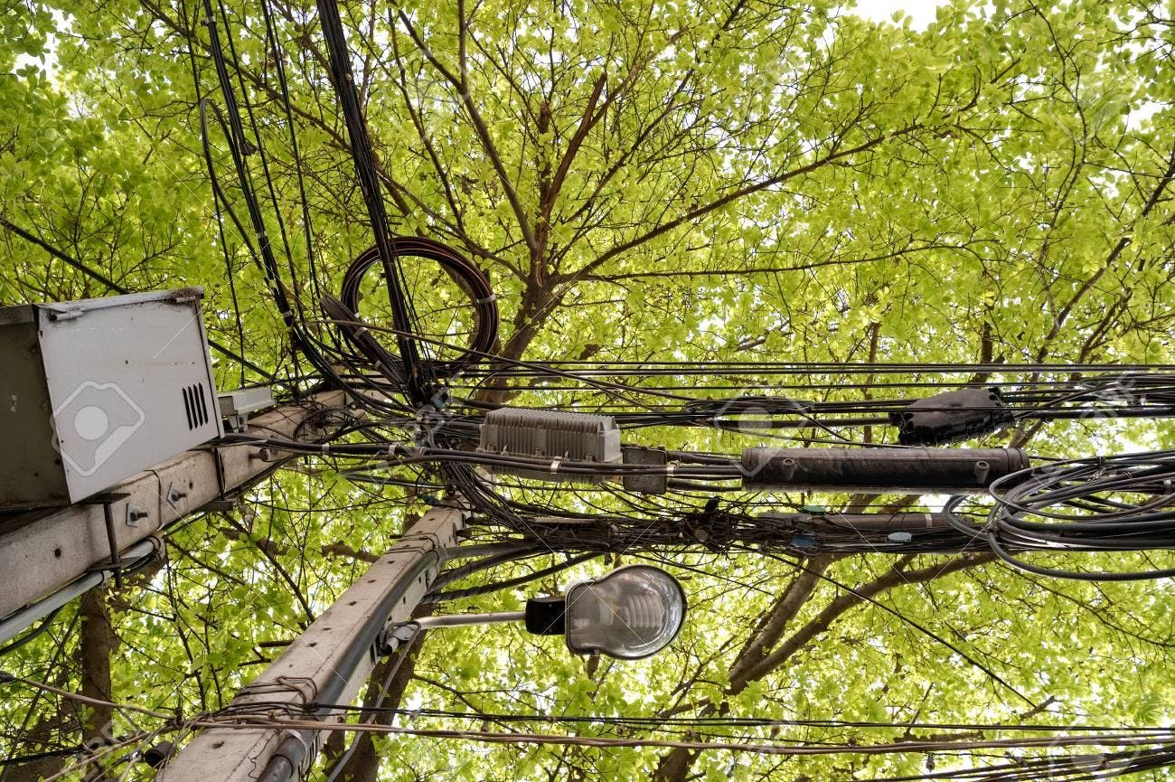 Alcalde de Pudahuel: Quedó en evidencia la crisis de municipios que plantaron sin ningún plan de forestación urbano