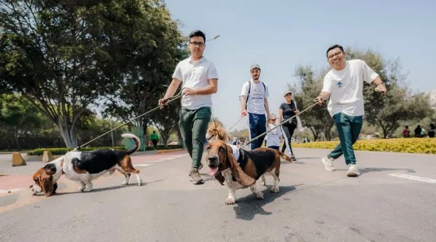 ¡Perritos se tomarán las calles de Santiago en icónica corrida familiar!