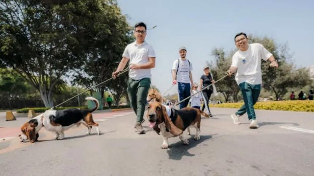 ¡Perritos se tomarán las calles de Santiago en icónica corrida familiar!
