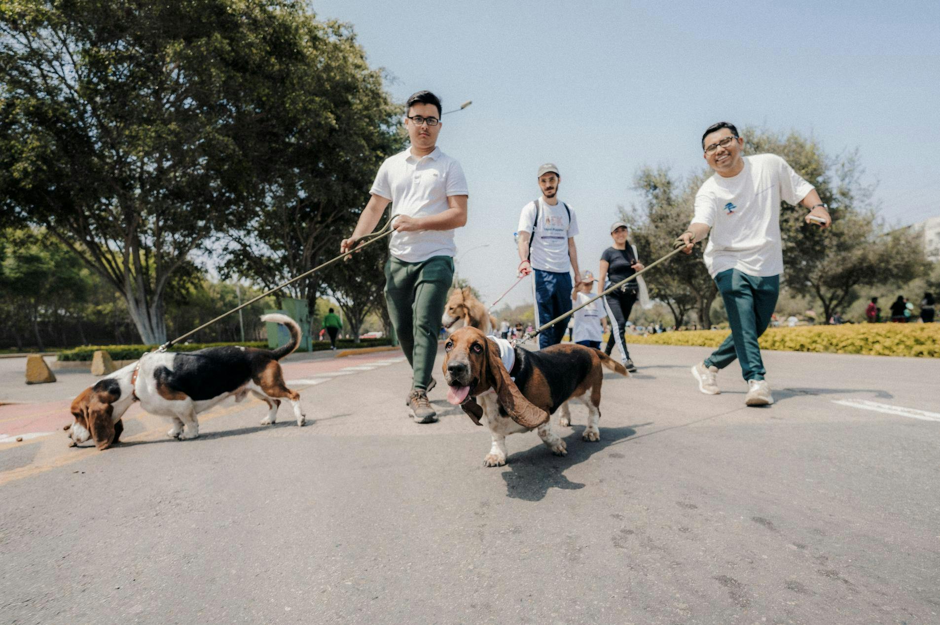 El entretenido evento familiar con mascotas tendrá lugar en Lo Barnechea, con grandes sorpresas para los participantes