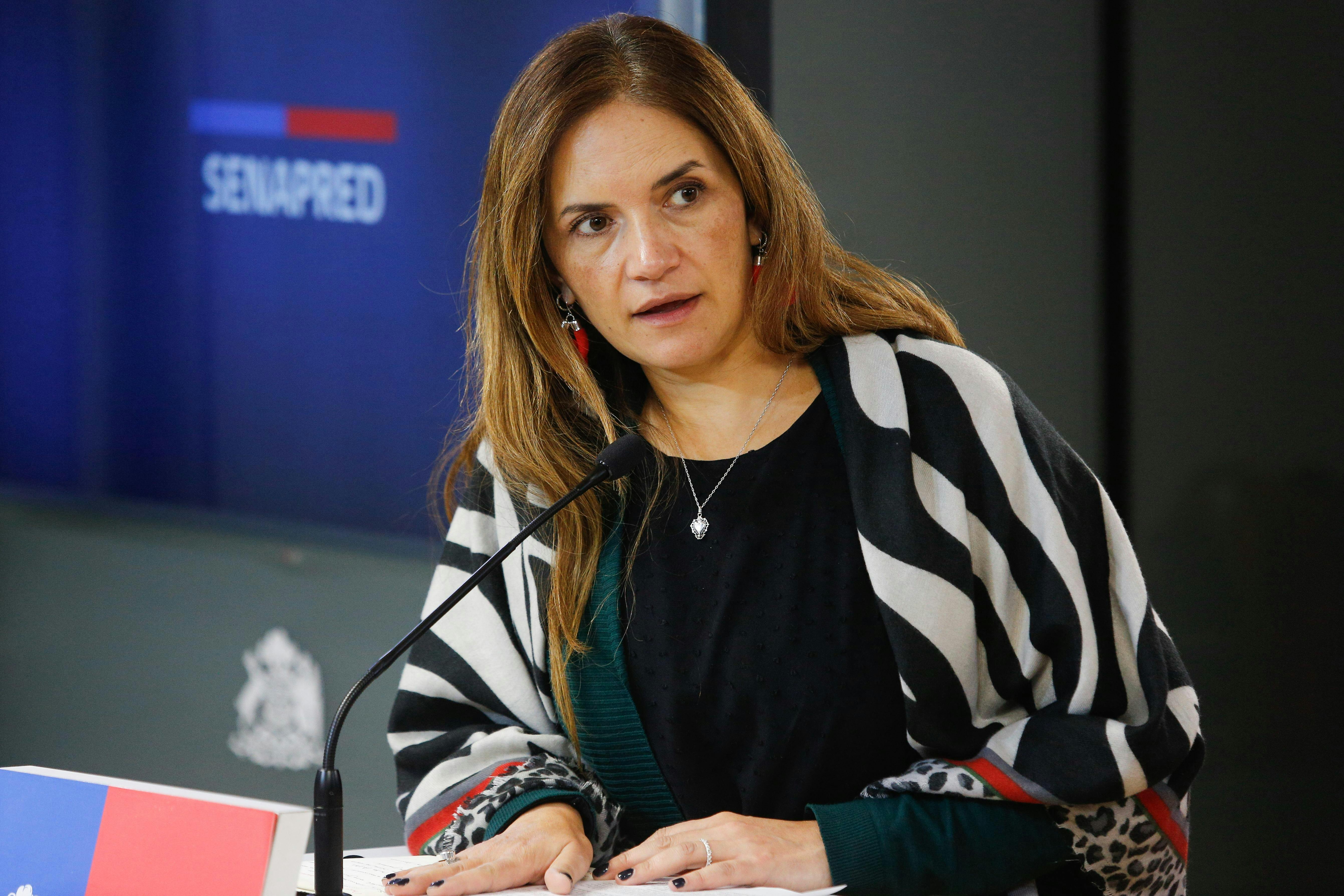 Directora de Senapred por altas temperaturas: “Si no tenemos la colaboración de la ciudadanía, la recurrencia de incendios tensiona esto y genera un estrés en el sistema”
