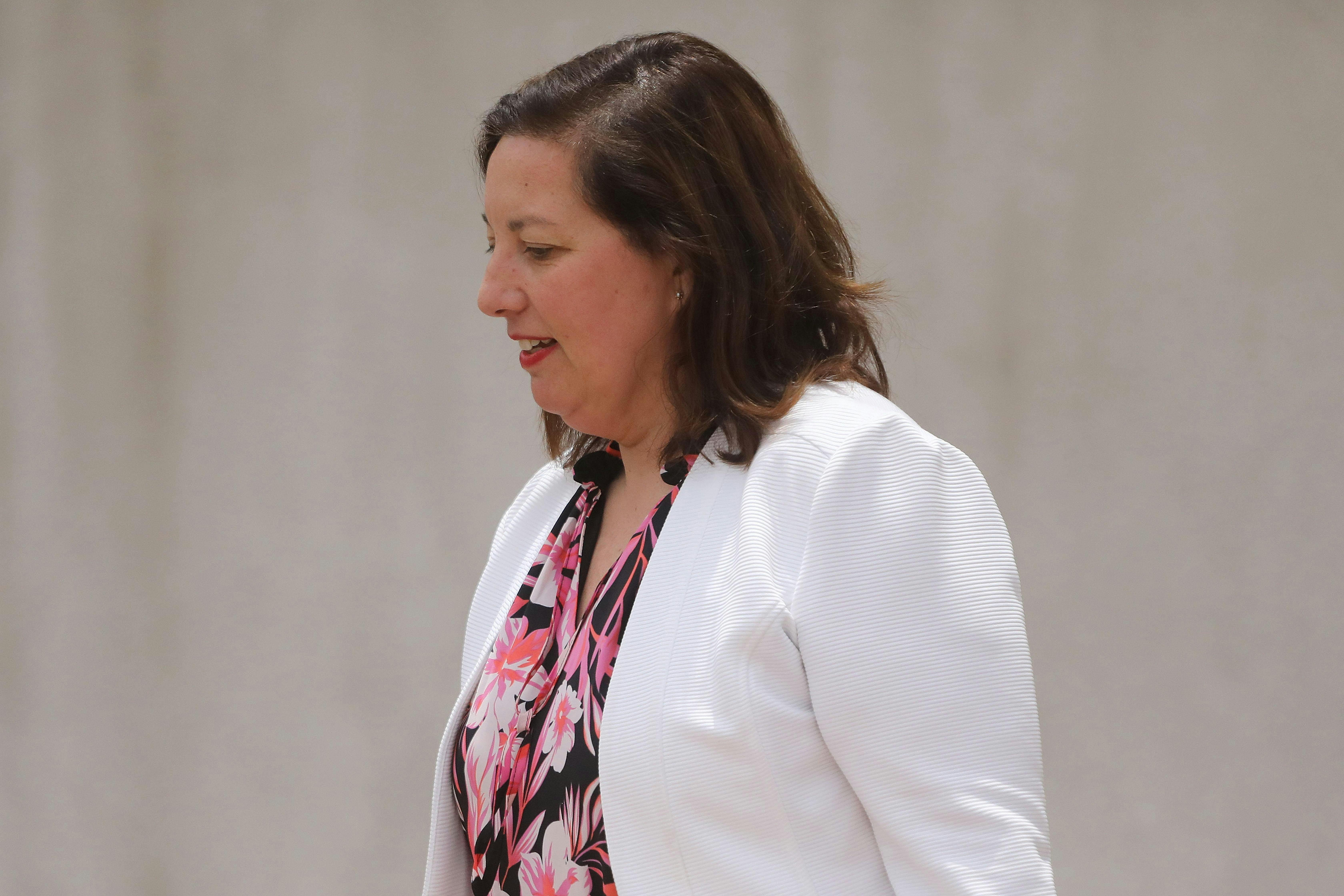 Paulina Vodanovic y definición presidencial del oficialismo: "La Presidenta Bachelet no requiere que la pauteen ni la presionen"