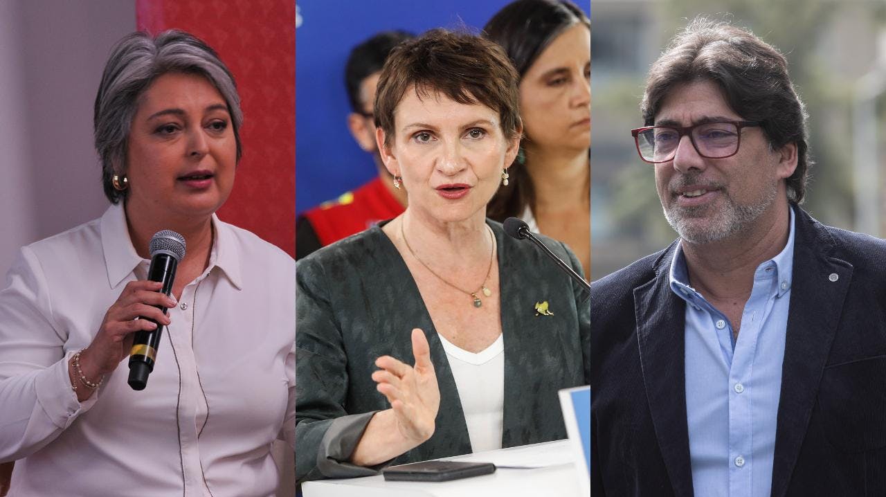 El escenario que enfrenta el oficialismo de cara a las primarias presidenciales