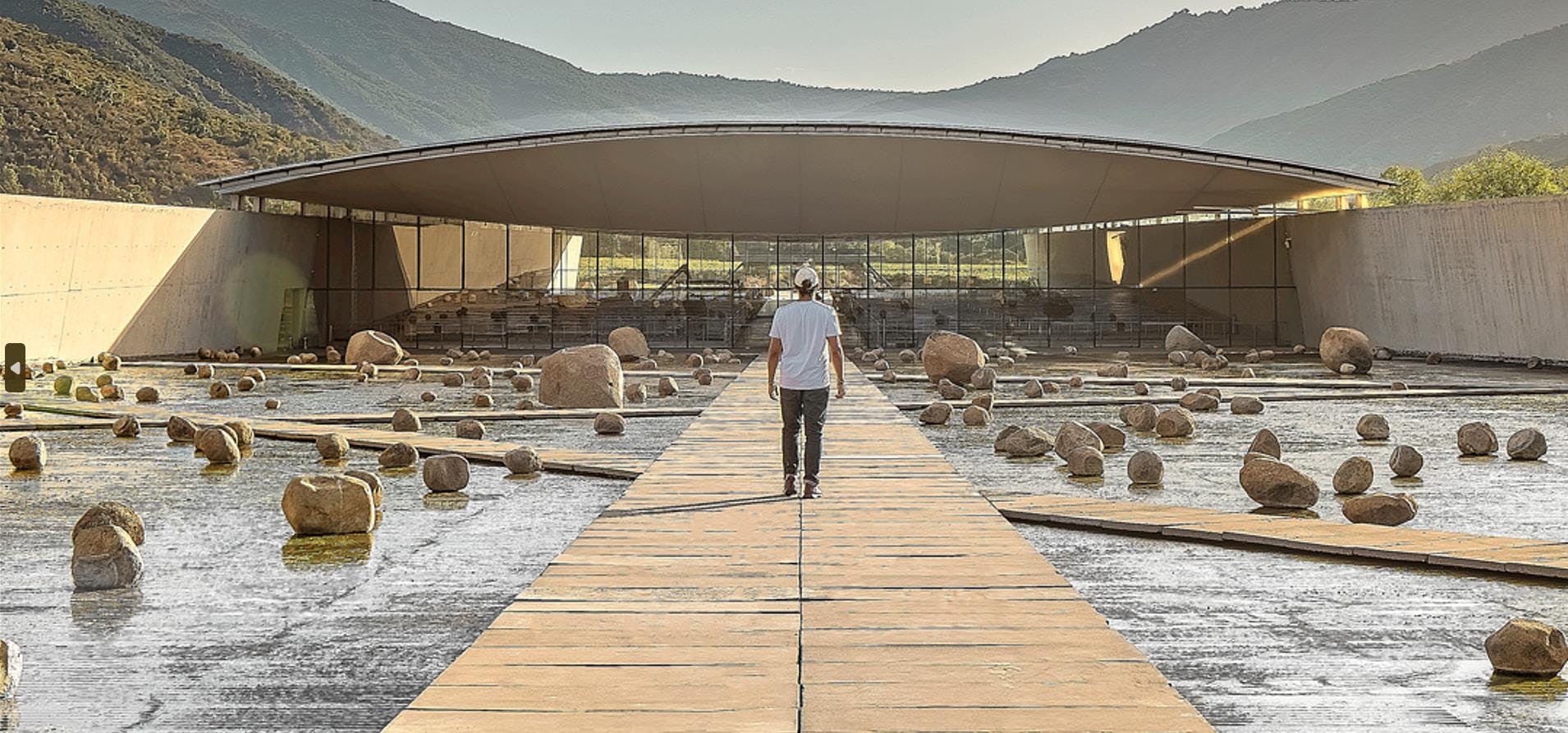 Viña VIK abre sus puertas para una vendimia exclusiva: vino, arte y alta gastronomía en una experiencia inolvidable