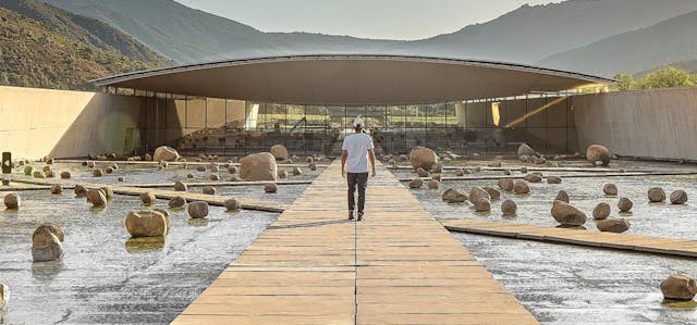 Viña VIK abre sus puertas para una vendimia exclusiva: vino, arte y alta gastronomía en una experiencia inolvidable
