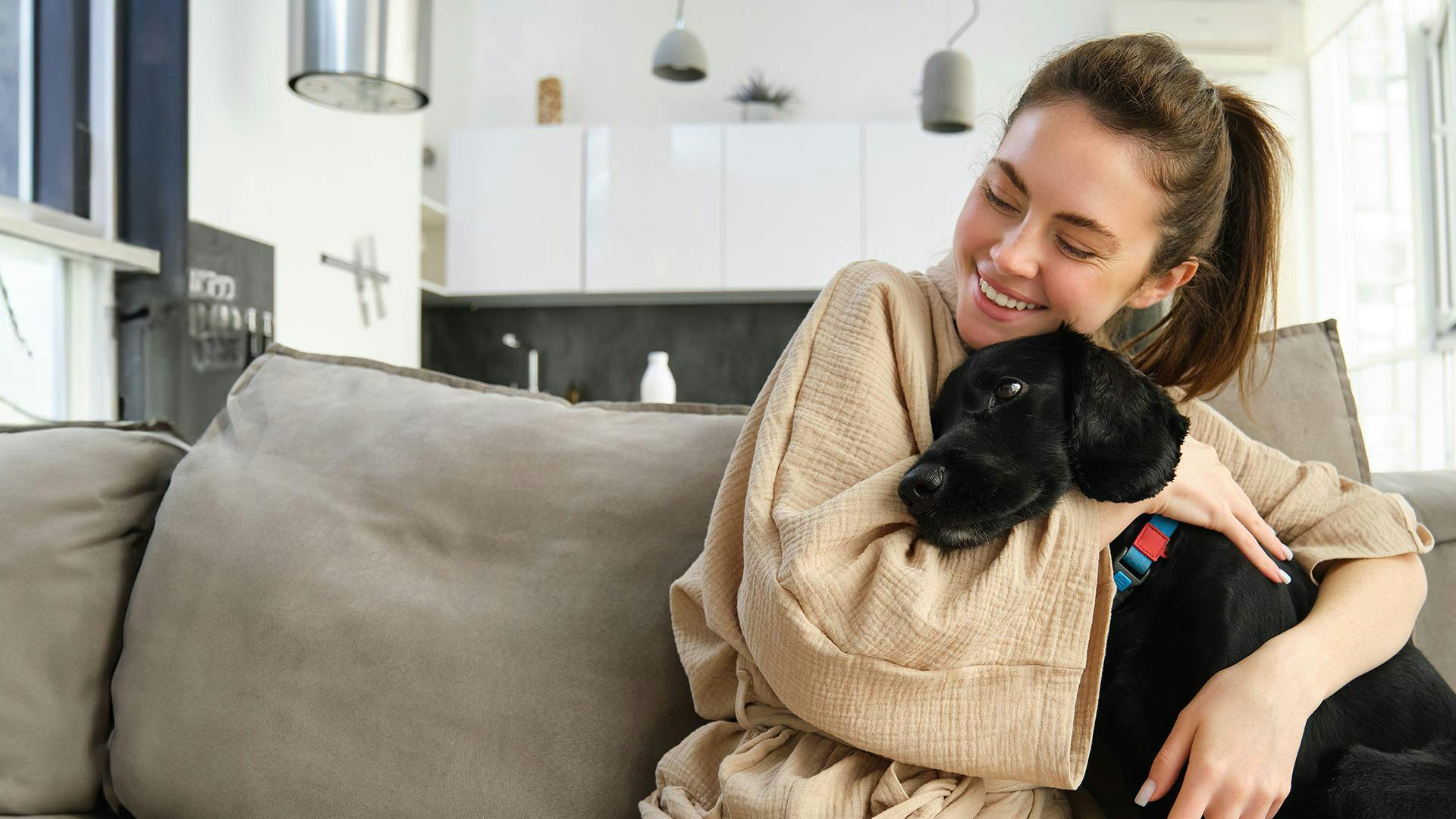 Las mascotas: un miembro más de la familia y una fuente inagotable de amor
