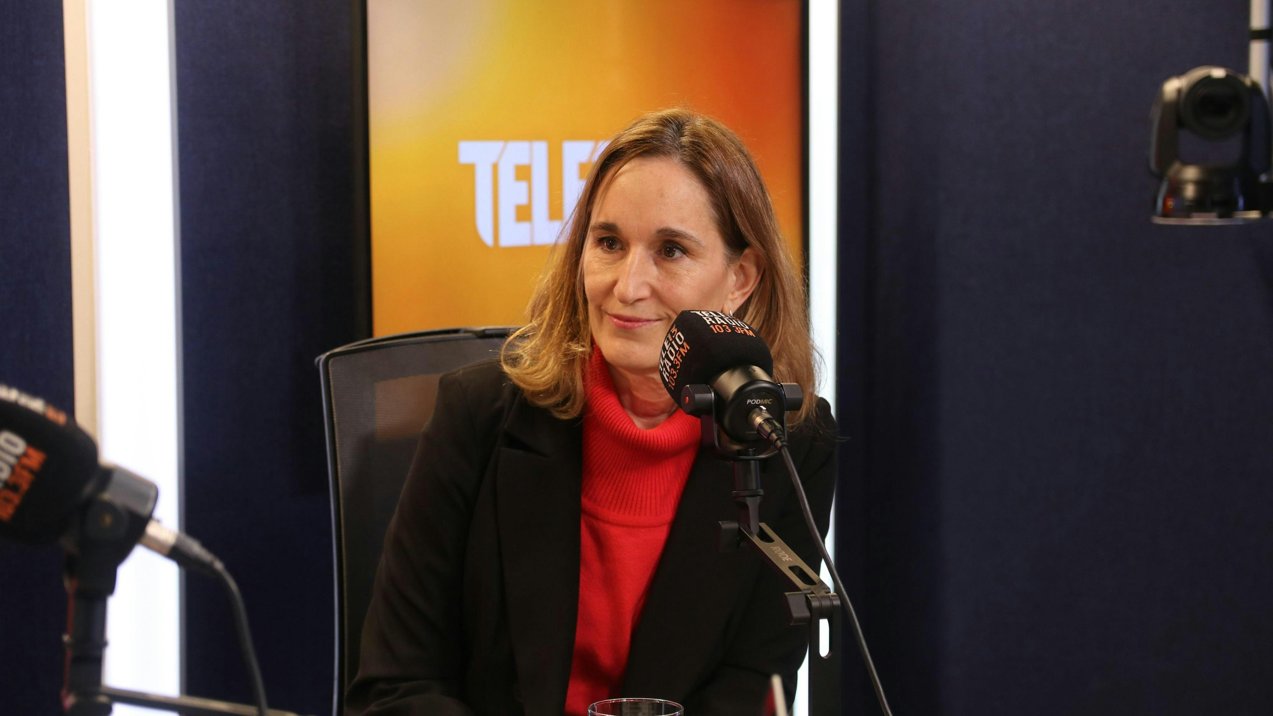Directora ejecutiva SEA: "Es momento de ver cómo mejoramos el sistema de otorgamiento de permisos, pero también valorar lo que tenemos"