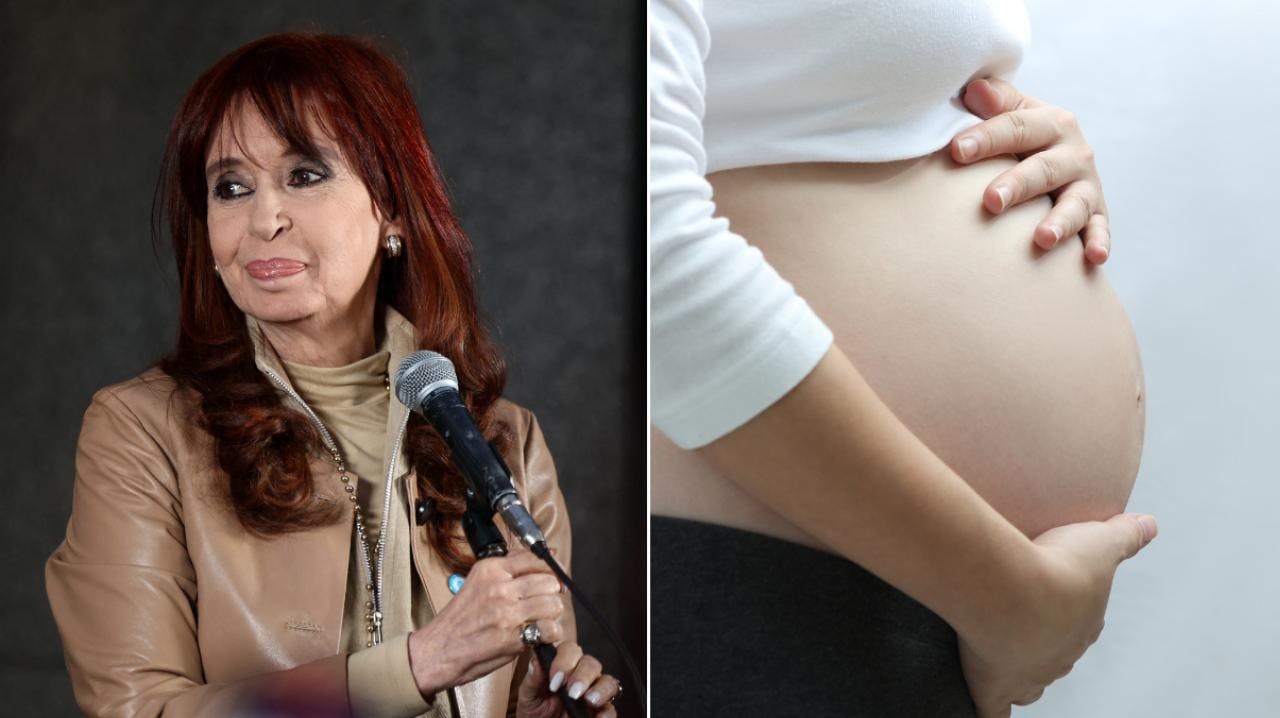 La condena a la expresidenta Cristina Fernández y el proyecto de  Ley de Fertilización Asistida