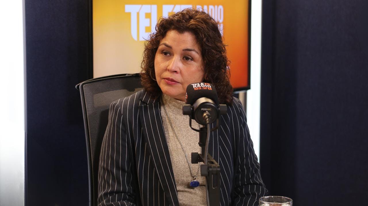 Investigadora y co-coordinadora Universidad de La Plata: "El crimen organizado es una amenaza transnacional (...) ni la cordillera ni el océano son protecciones para el territorio"