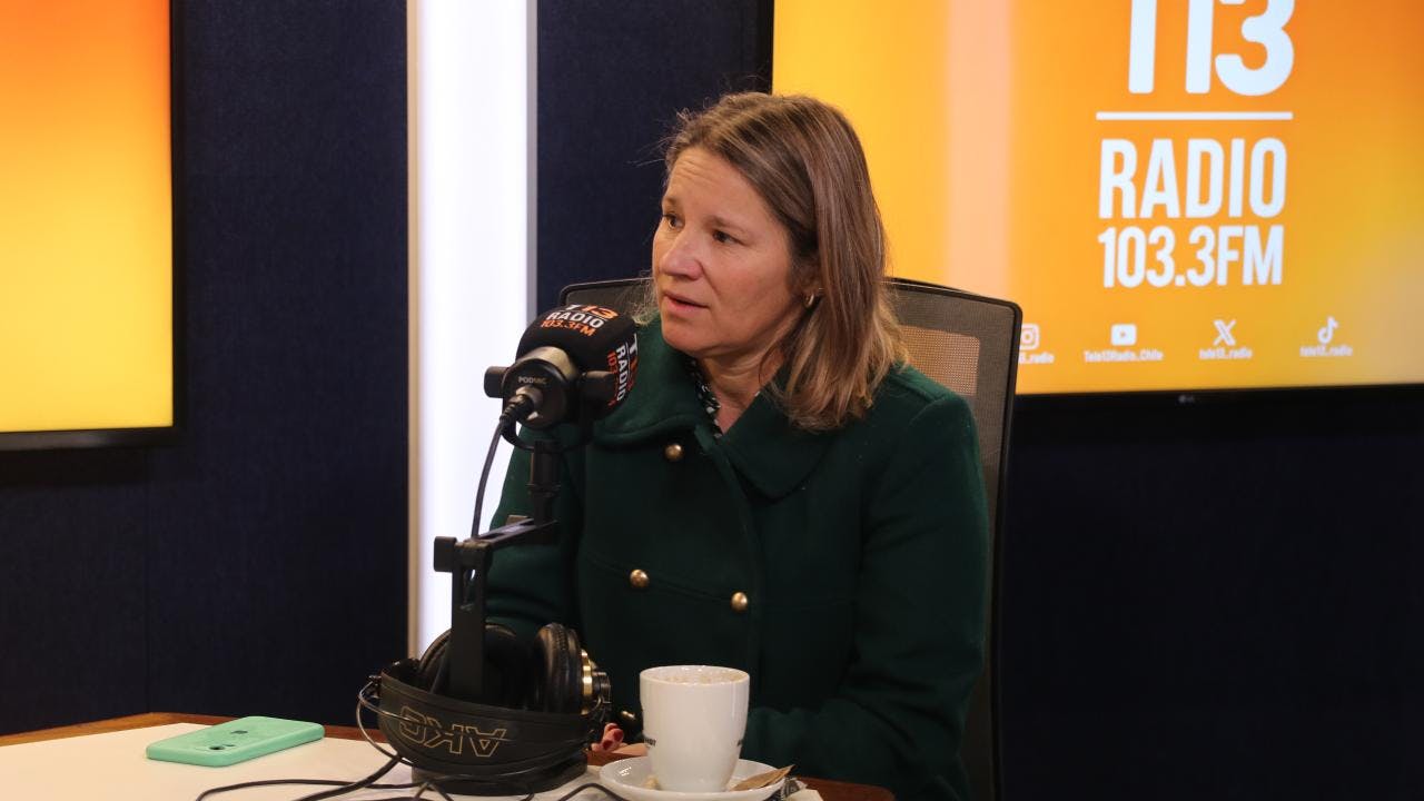 Catalina Droppelmann y delincuencia juvenil: "Tener un arma se transforma en un bien simbólico (...) y eso hace que la violencia entre los jóvenes sea mucho más letal"