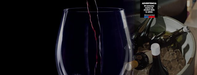 Jumbo da vida a “La Cava”: un encuentro para disfrutar lo mejor del vino, la cerveza y los licores chilenos