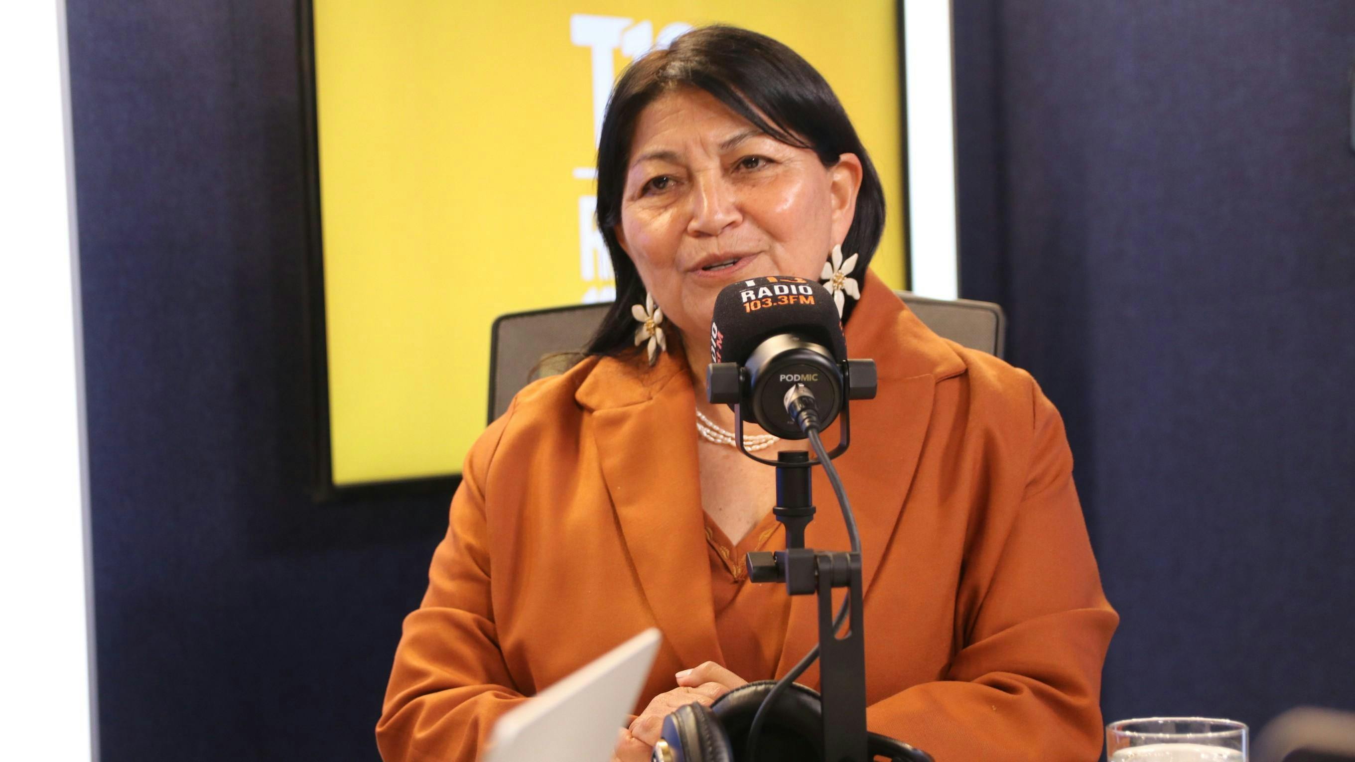 Elisa Loncon por su candidatura al Congreso: “Llego para incidir desde adentro porque el Senado ha estado capturado por un sector de la élite política”