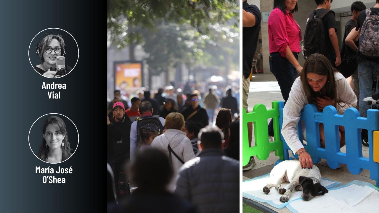 Vial y O’Shea por cómo la gente se forma opinión y la preferencia por tener perros antes que niños