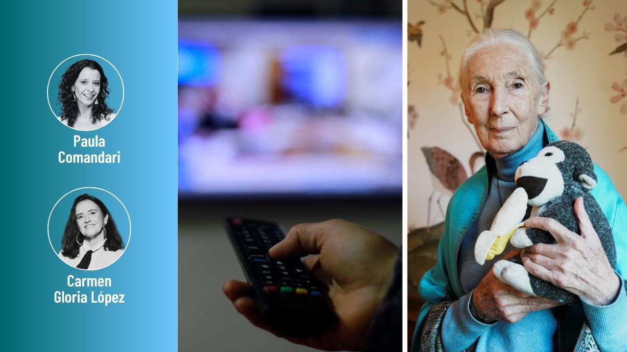 Lo que se sabe de la franja electoral y el legado de Jane Goodall