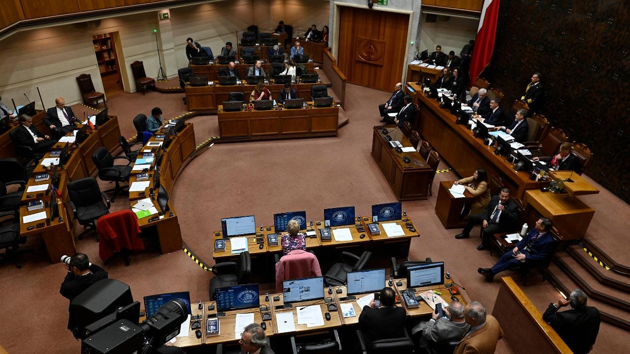 Primerizos: más de un cuarto nunca ha participado de una elección