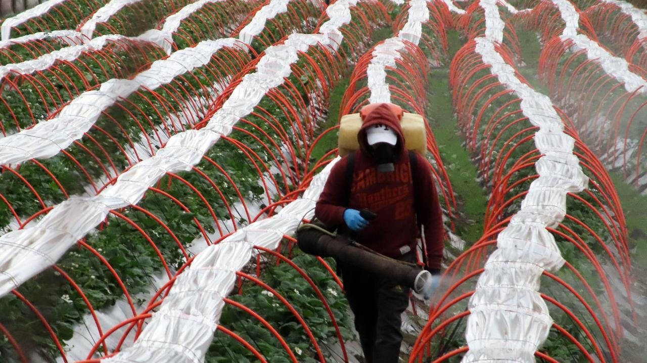 La tasa de desocupación nacional se ubicó en 8,5% en el trimestre de julio a septiembre