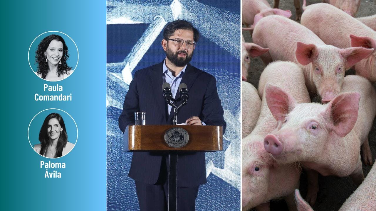 Lo que dejó el encuentro anual de la Sofofa y la alerta por la peste porcina en España