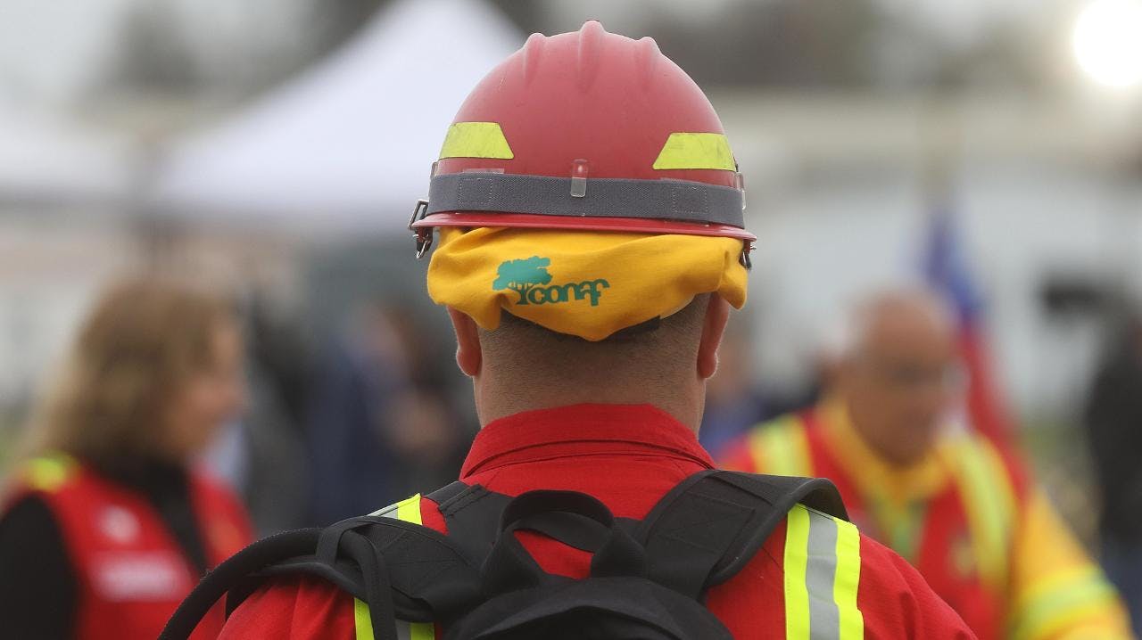 Gerente de Conaf por riesgo de incendios forestales: “Hoy día tenemos 164 comunas con botón rojo”