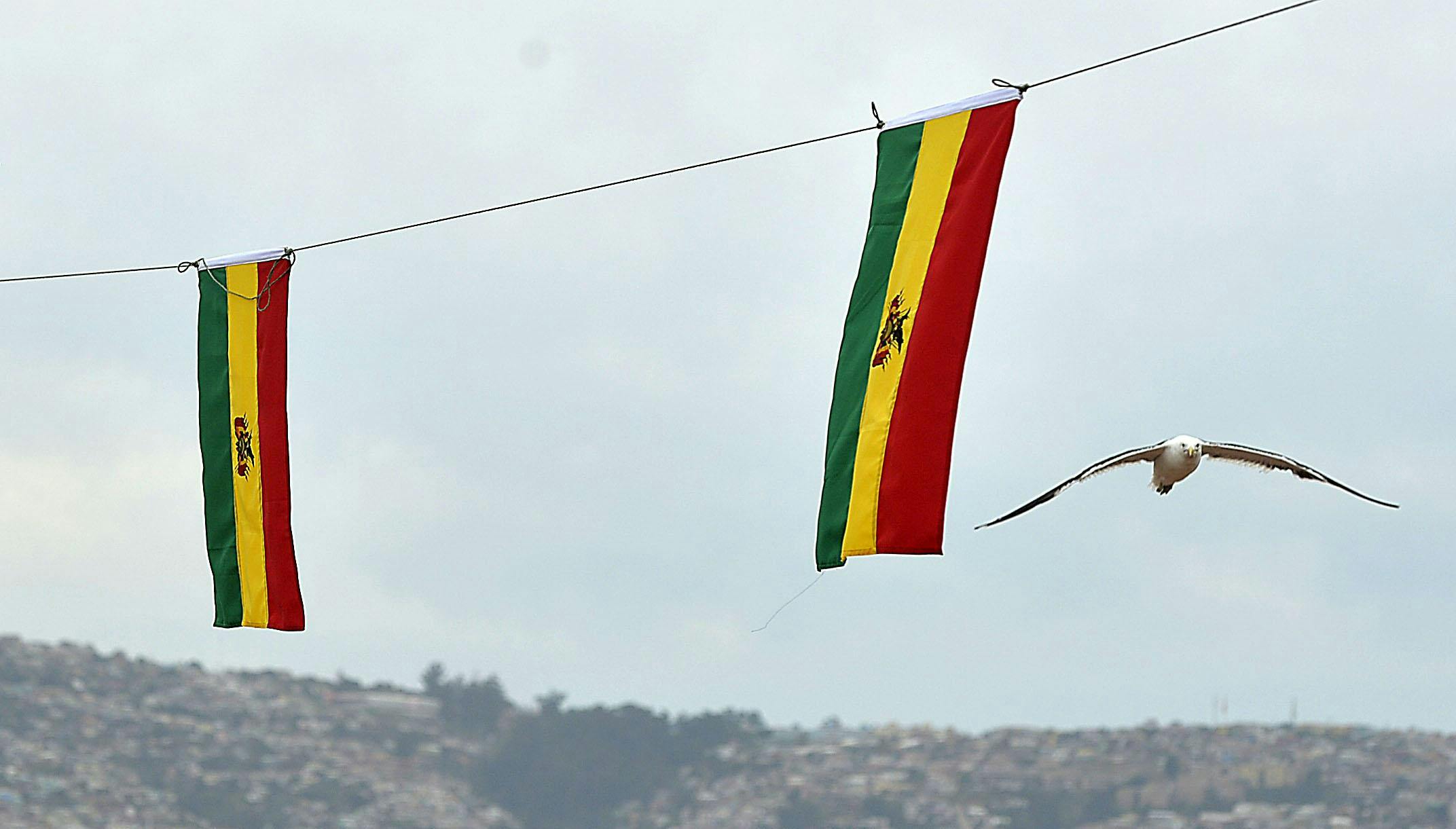 Ex subsecretario de Defensa por visita de canciller boliviano: “Es quizás la mejor demostración de la prioridad latinoamericana”