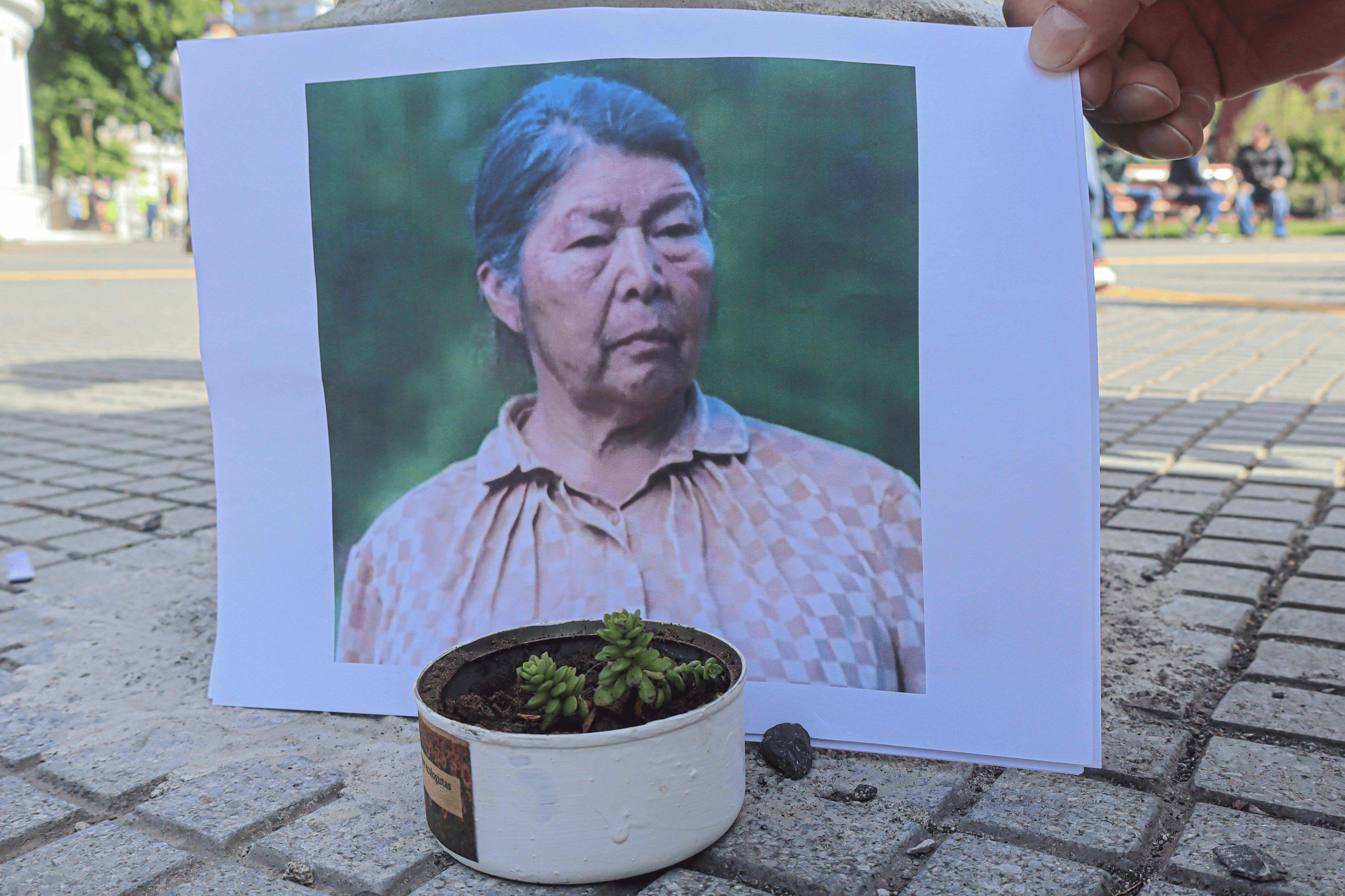 Sebastián Palma: “Los crímenes suelen tener señales previas y la vida de Julia Chuñil en su casa era un infierno”