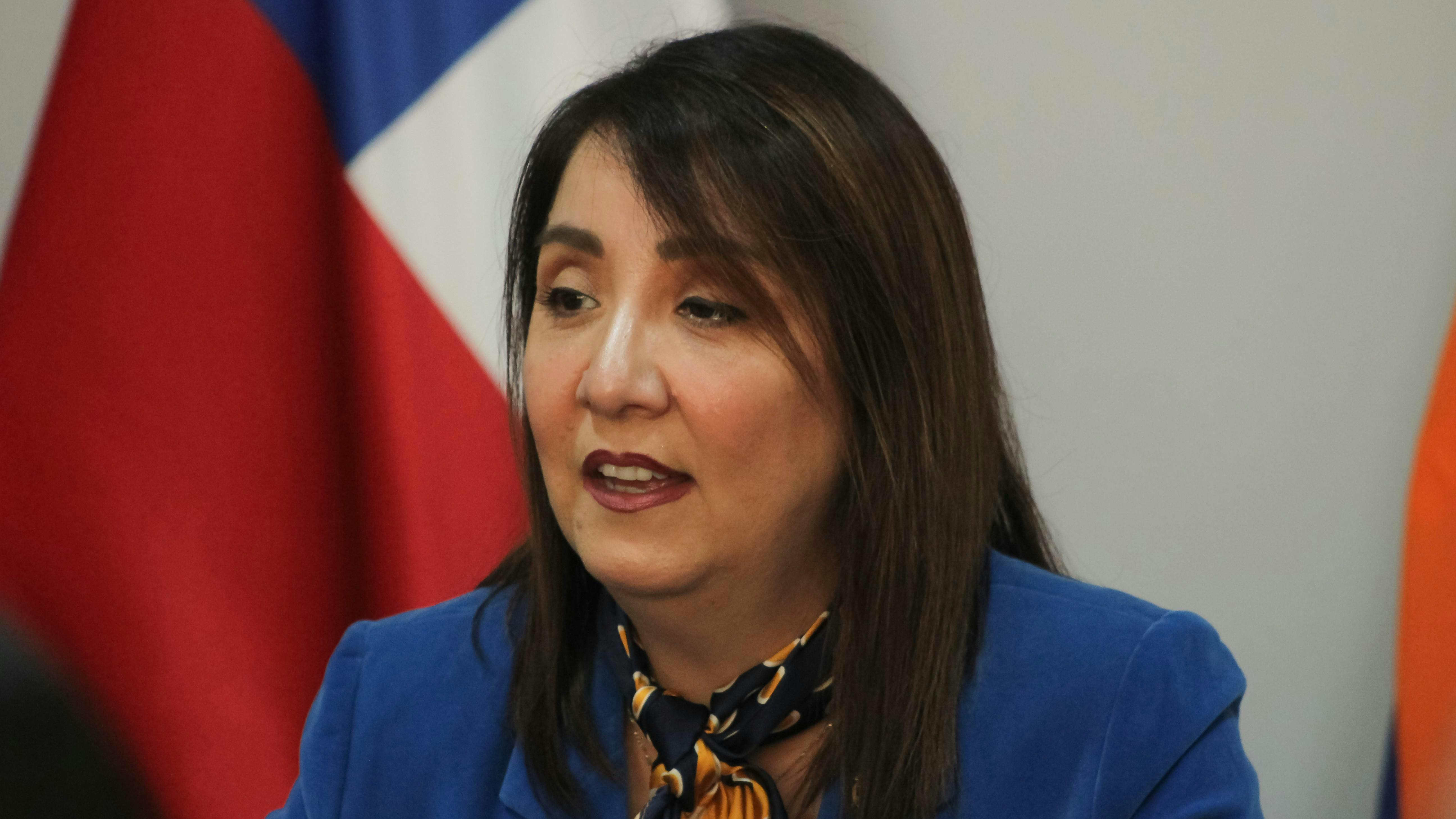 Fiscal regional del Ñuble por incendios en la zona: “La mayor cantidad de hipótesis apuntan a una negligencia y en dos de ellos posiblemente podría ser de origen eléctrico”