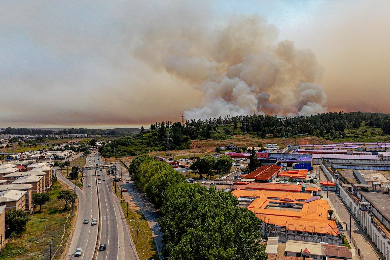 Miguel Castillo analiza los factores detrás de los incendios forestales y la discusión sobre la Ley de Incendios
