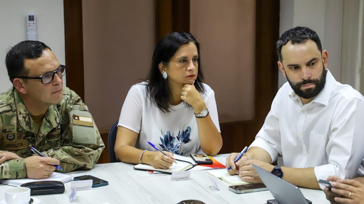 Ministra de Agricultura por emergencia de incendios en Ñuble: “Estamos comenzando a recibir apoyo internacional de brigadas”