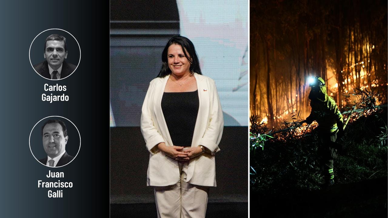 Gajardo y Galli por el salto político de Steinert y las teorías conspirativas durante las tragedias