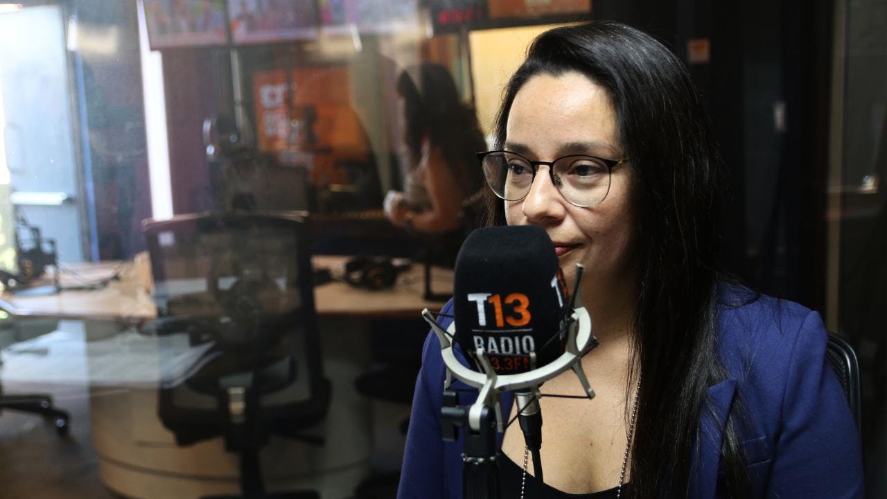 Subcomisaria PDI por intencionalidad en incendios: “La piromanía es muy escasa, son otras las personas que tienen conductas incendiarias”