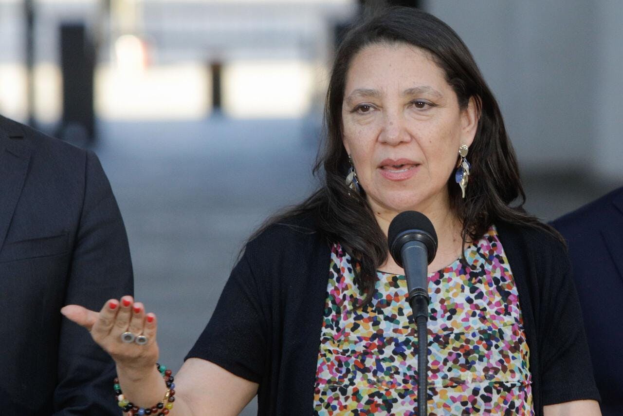 Ministra Macarena Lobos por FES: “Hay que hacerse cargo de este problema”