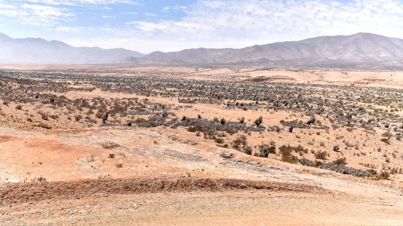 Fallo de la Corte de Apelaciones de Antofagasta por Dominga genera diversas interpretaciones en el Gobierno y la empresa titular Andes Iron