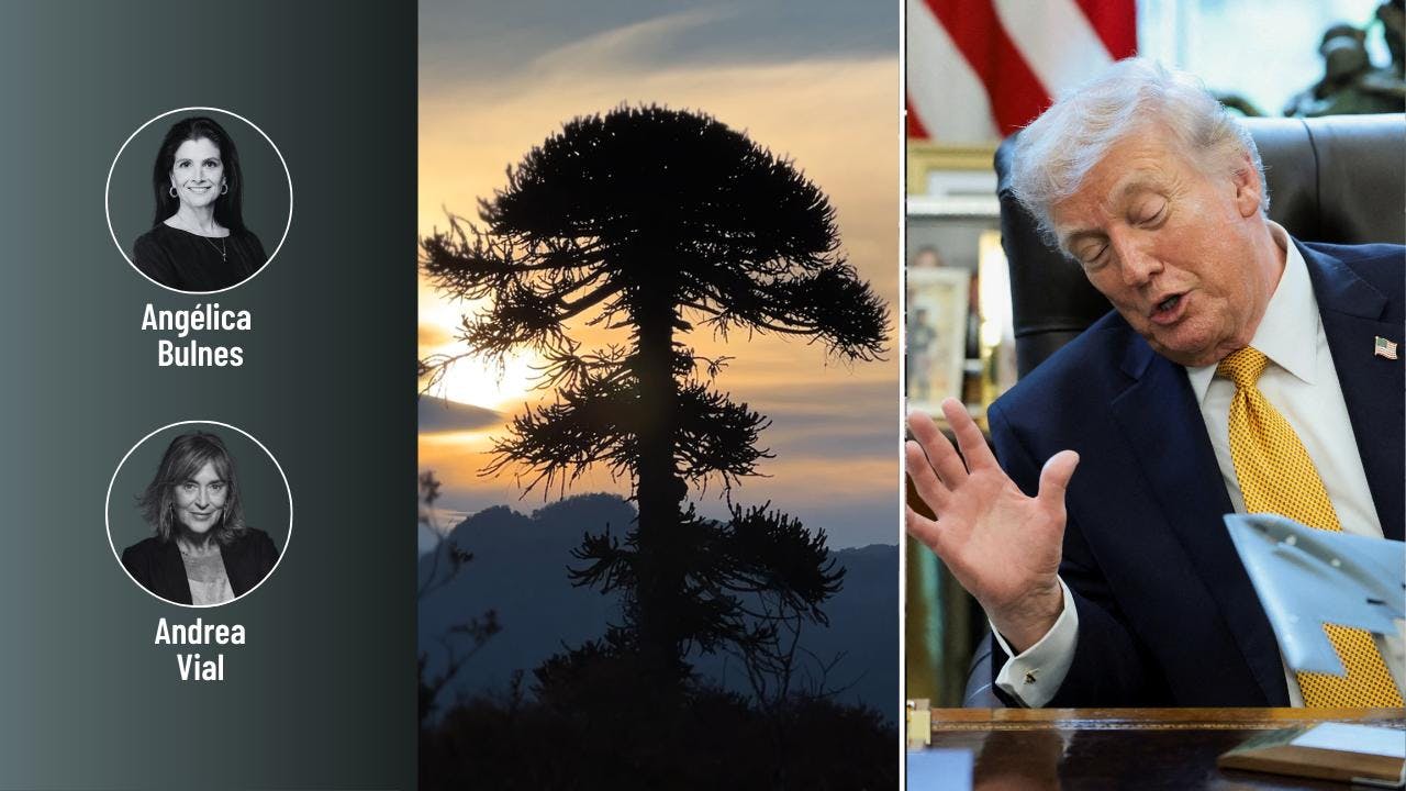 Alarma por "desmantelamiento" ambiental y Cuba en medio de las advertencias desde EE.UU.