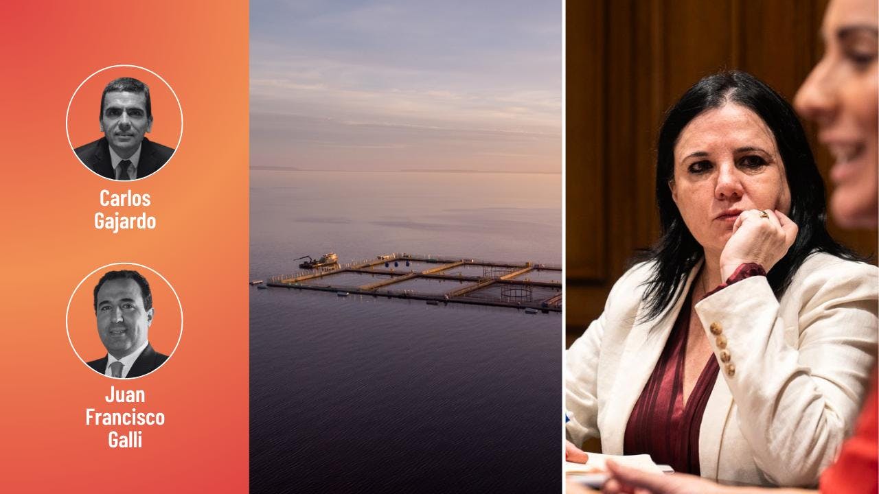 Gajardo y Galli por los desafíos del Ministerio de Seguridad y la Ley Lafkenche