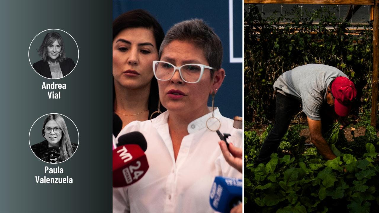 La polémica salida del Sernameg y el precio de la vida (que sube otra vez)